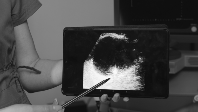 Trends in Imaging for Suspected Urinary Stones in the Emergency Department 