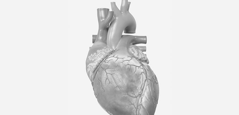 A Head-to-Head Comparison of Two Novel Markers for Predicting CHD