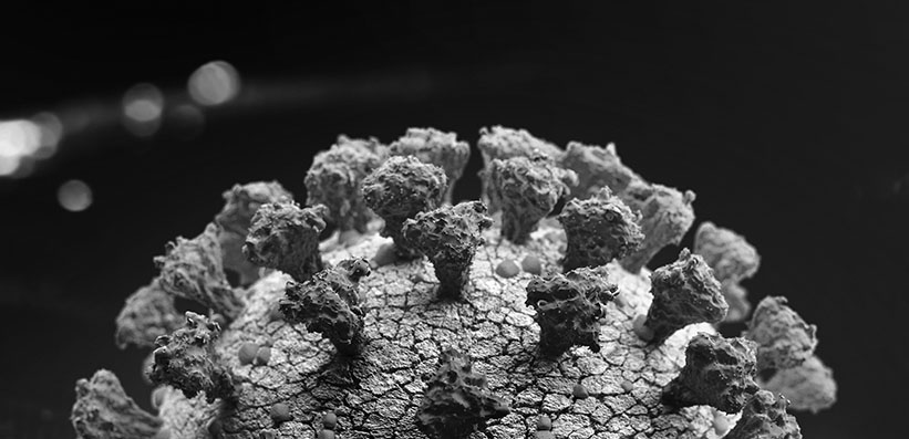 Autoimmunity and Long COVID: Are They Linked? 