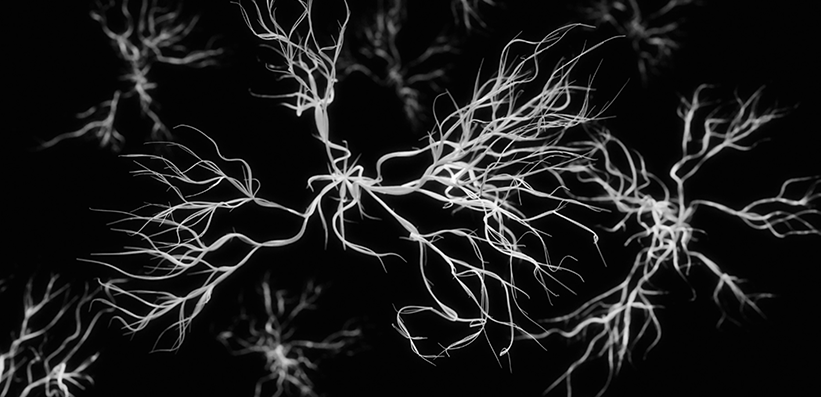 Association Between Serum Neurofilament Light Chain and Cognitive Performance Among Older Adults in the United States: A Cross-Sectional Study