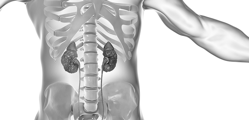 Does AKI Beget Worsening CKD?