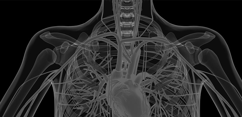 A Head-to-Head Comparison of Two Novel Markers for Predicting CHD