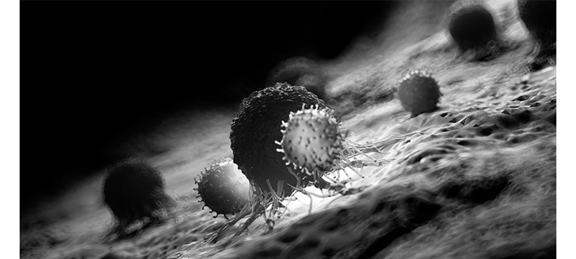 Influenza Vaccination of Pregnant Mothers Protects Their Infants